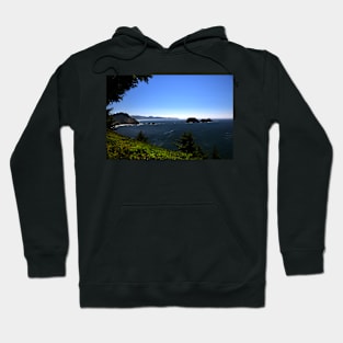 850_6224 Hoodie